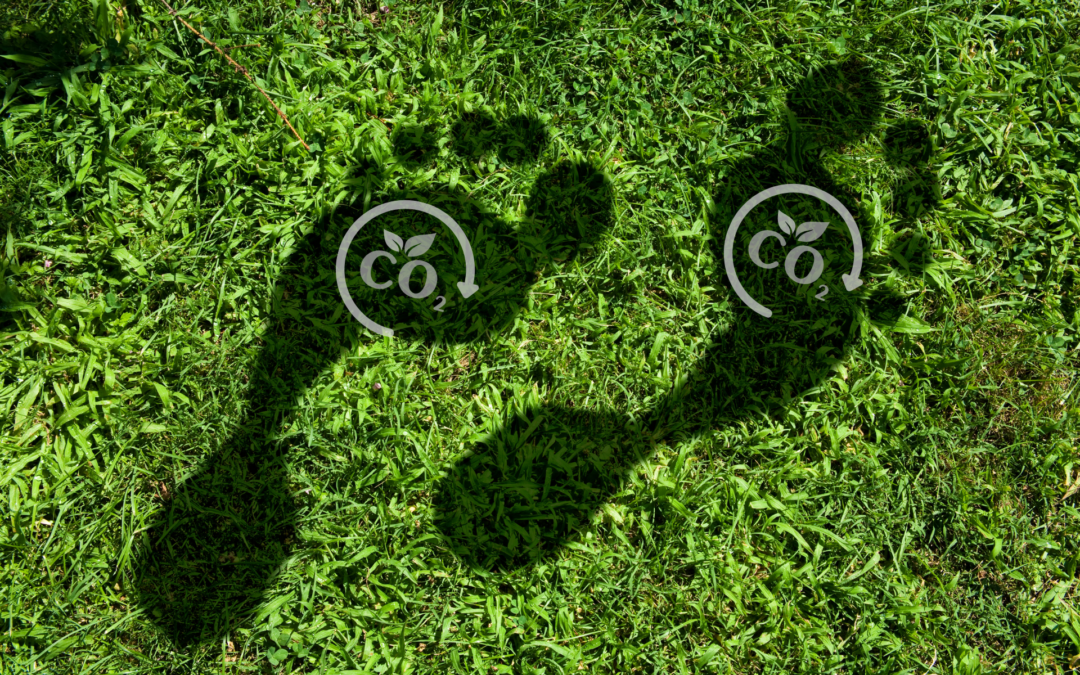 14SOL Práctico de Huella de Carbono Corporativo