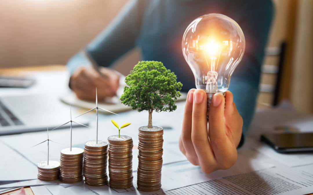 21ESO- Introducción a las EERR. Autoconsumo y sector eléctrico