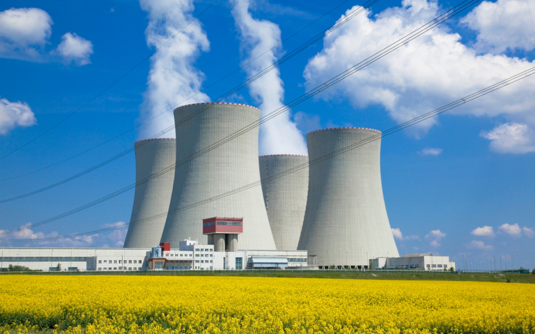 29CNA – Básico Desmantelamiento