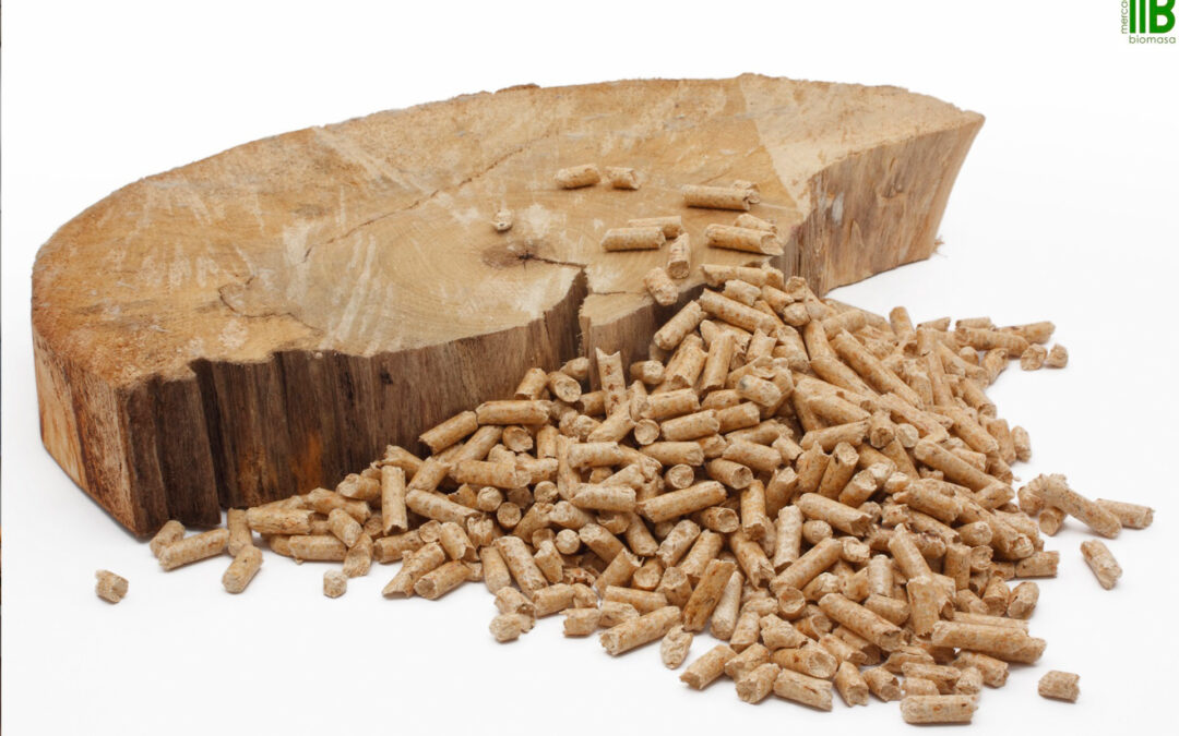 10MER Aprovechamiento Energético de los Recursos Forestales