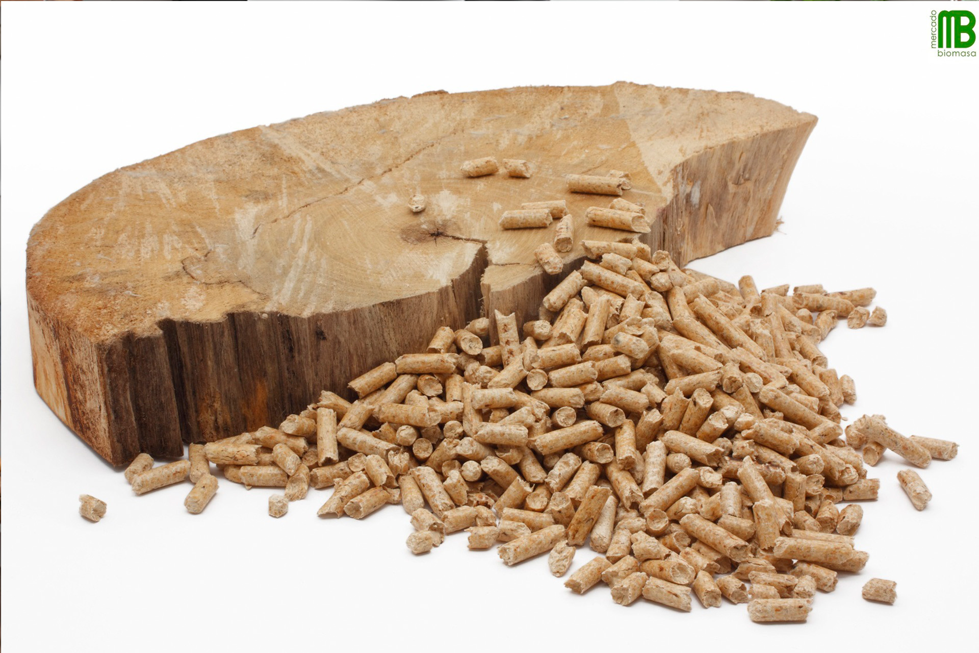 10MER Aprovechamiento Energético de los Recursos Forestales