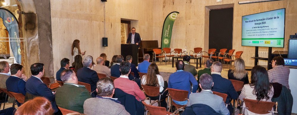 El Plan Anual de Formación del Clúster de la Energía (PAF25) se convierte en un modelo de éxito y buenas prácticas