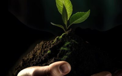 Bioenergía: la fuente sostenible que impulsa el desarrollo territorial, la independencia energética y la economía circular