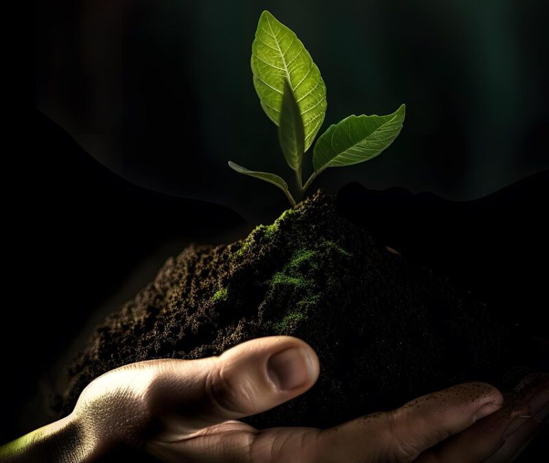 Bioenergía: la fuente sostenible que impulsa el desarrollo territorial, la independencia energética y la economía circular